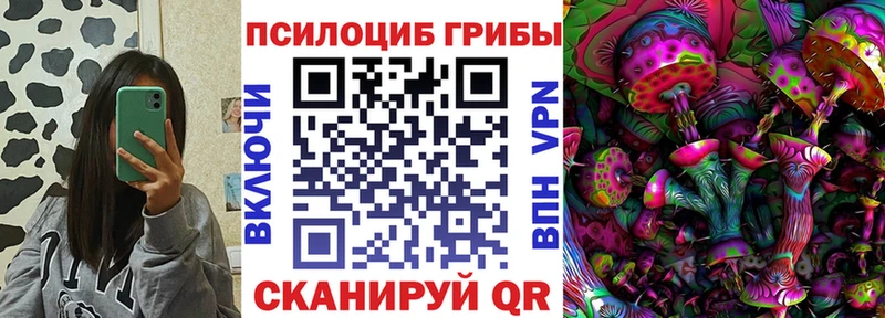 KRAKEN ТОР  Тайшет  Галлюциногенные грибы GOLDEN TEACHER  магазин продажи наркотиков 